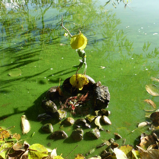 profa-2012-landart-1 Montessori-Schulzentrum Leipzig - Neuigkeiten Oberschule - Unterricht mal anders – Projektfahrt nach Gallentin